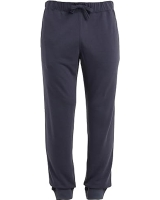 lcebreaker merino men,s pants